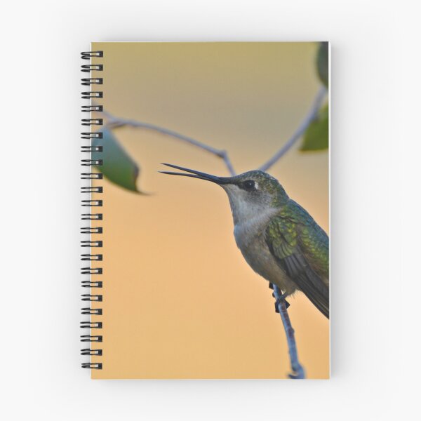 Item preview, Colibrí garganta de rubí designed and sold by InGFocus.