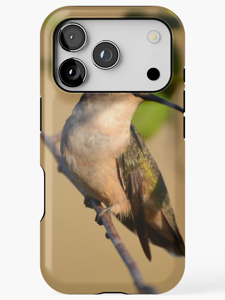 Thumbnail 1 of 4, iPhone Case, Ruby-throated Hummingbird designed and sold by InGFocus.