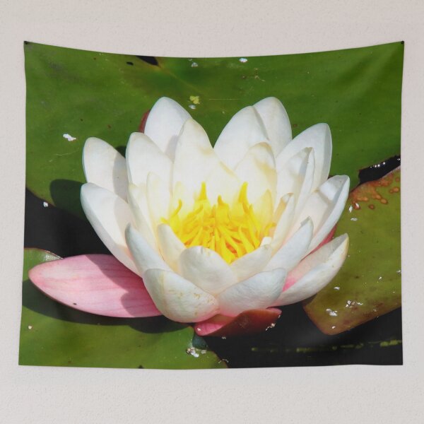 Item preview, Water Lily designed and sold by AnnDixon.