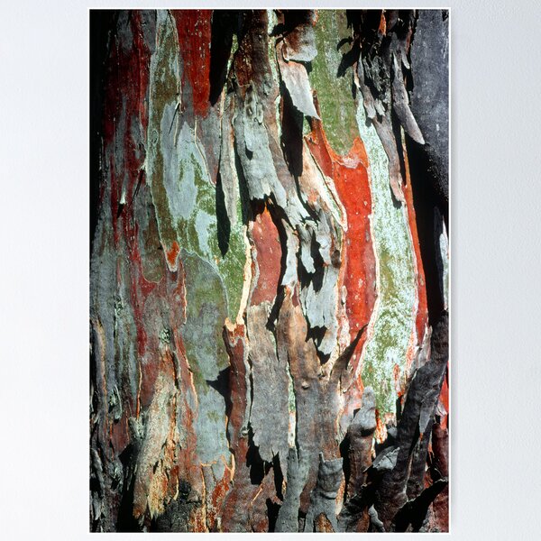 Item preview, Black Sallee Bark designed and sold by Ern Mainka.