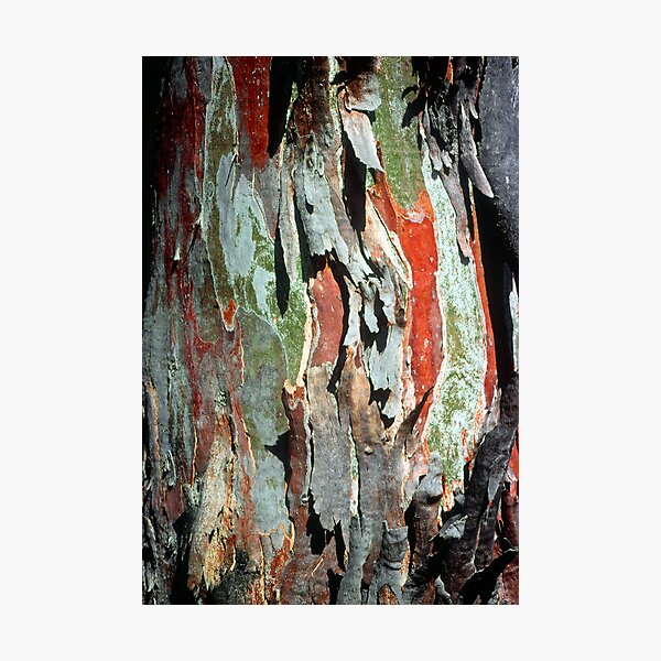 Item preview,  East Gippsland designed and sold by Ern Mainka.