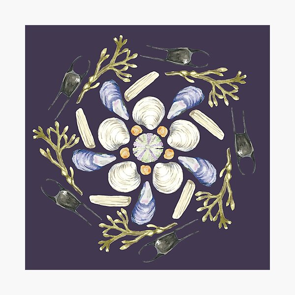 Item preview, L Tide Pool Beach Mandala 1 - Watercolor - Plum designed and sold by skidgelstudios.