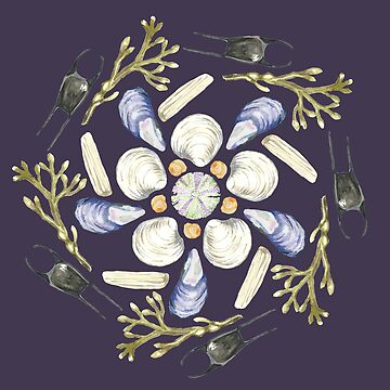 Artwork thumbnail, L Tide Pool Beach Mandala 1 - Watercolor - Plum by skidgelstudios