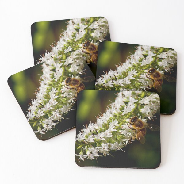 Item preview, Honey Factory designed and sold by Tara Lemana.