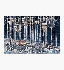 Owl Forest Photographic Print