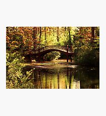 Crim Dell Bridge 2 Photographic Print
