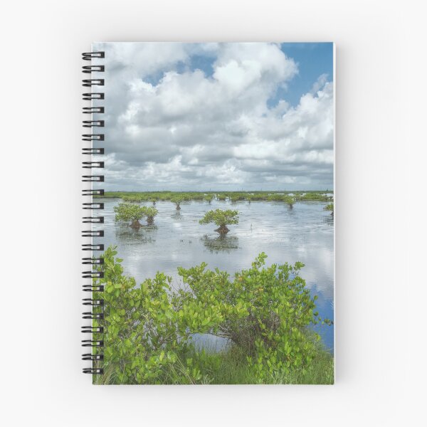 Item preview, Cloud Covered Wetlands designed and sold by John Bailey.