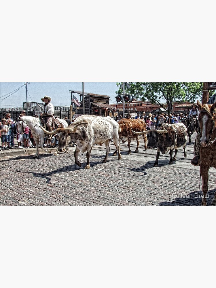 The Cattle Drive by colgdrew