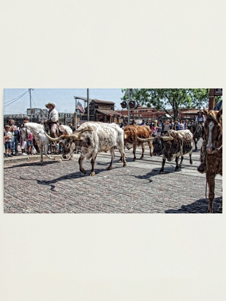 Alternate view of The Cattle Drive Photographic Print
