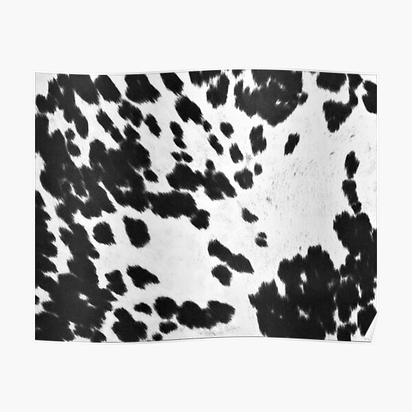 Faux Cowhide Black and White 3 Poster