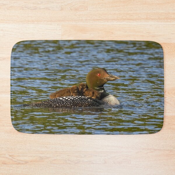 Item preview, Common Loon Mom with both Babies on her back designed and sold by LindaCPhoto.