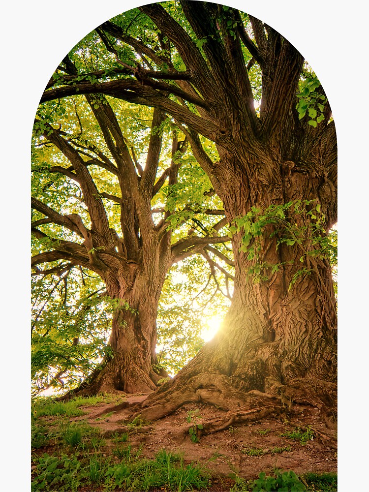 WISE MYSTICAL TREE - Mystical - Sticker