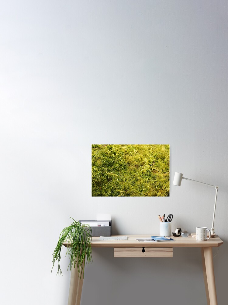 Green Moss Texture Poster for Sale by pinkal