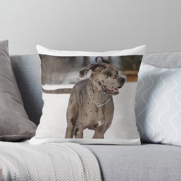 Unknown Throw Pillow