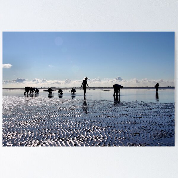 Item preview, Mudflat Hiking designed and sold by Jo Nijenhuis.