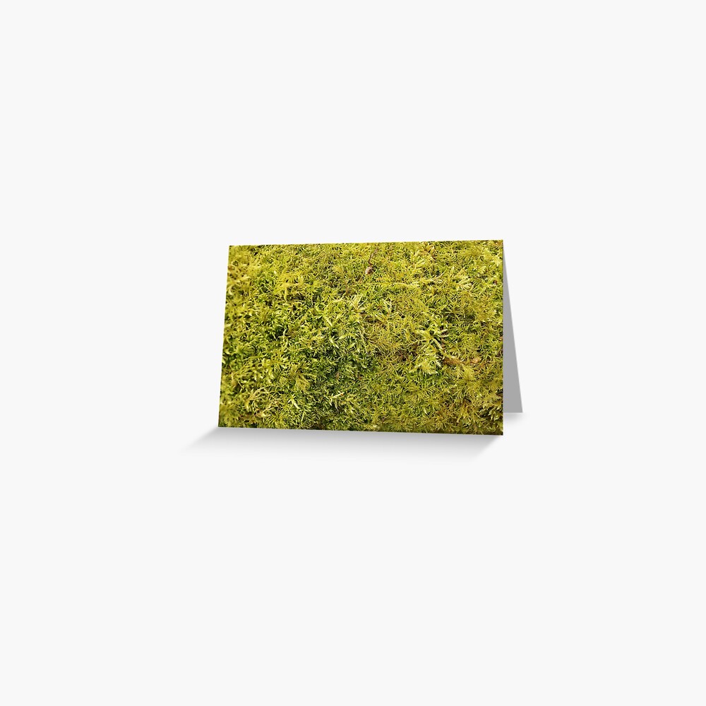 Green Moss Texture Throw Blanket for Sale by pinkal