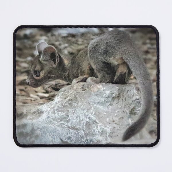 Item preview, Fossa Pup designed and sold by Ladymoose.