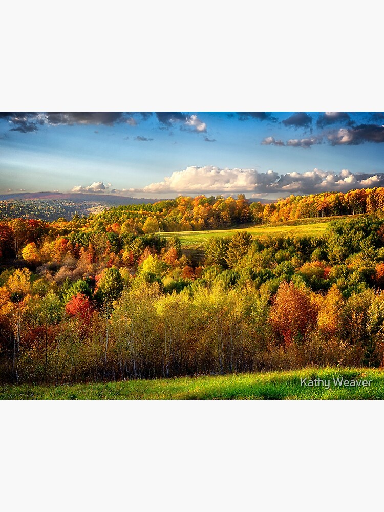 "Dents Run Elk Viewing Area Benezette, PA" Poster for Sale by