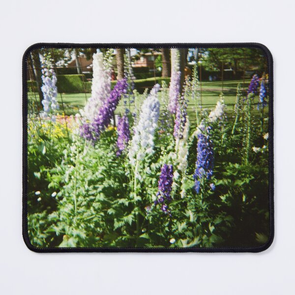 Item preview, Carnival of Flowers 35mm film photography designed and sold by Dominique Tassell.