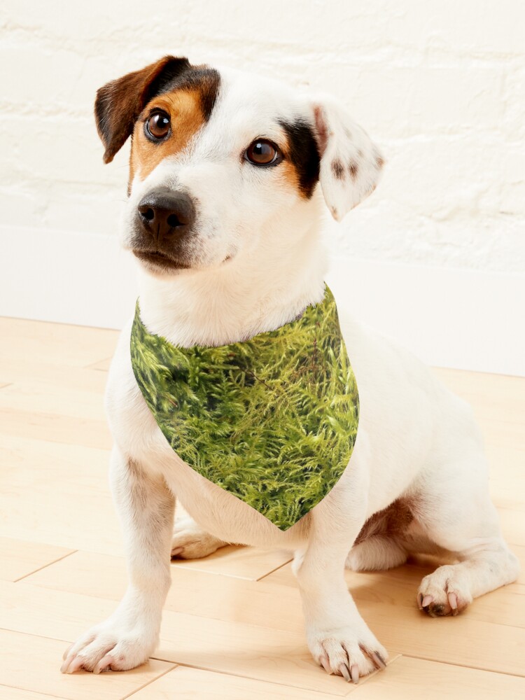 Green Moss Texture Pet Bandana for Sale by pinkal