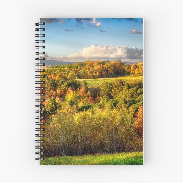 Item preview, Dents Run Elk Viewing Area - Benezette, PA designed and sold by Kathy Weaver.