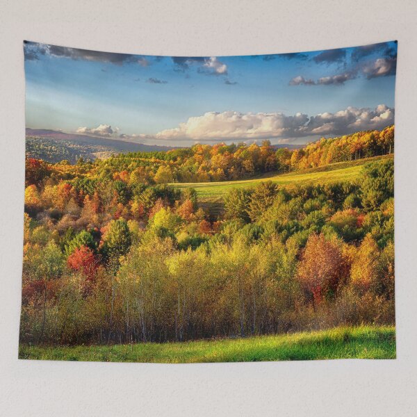Item preview, Dents Run Elk Viewing Area - Benezette, PA designed and sold by Kathy Weaver.