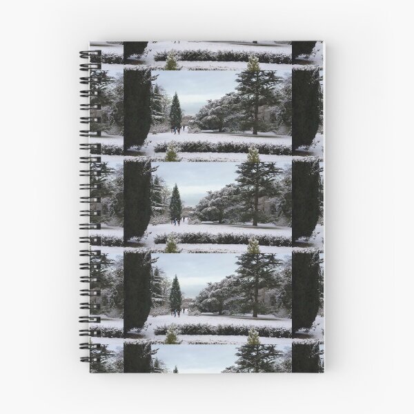 Item preview, snow shirts designed and sold by Robaoportugal.