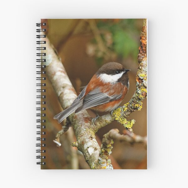 Item preview, Chestnut-Backed Chickadee on the Cherry Tree designed and sold by walkswithnature.