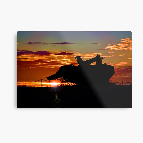 Metal Print