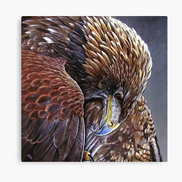 Golden Eagle Canvas Print