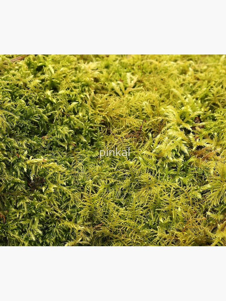 Green Moss Texture Throw Blanket for Sale by pinkal