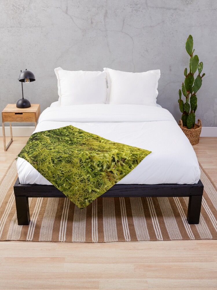 Moss Blanket: Over 736 Royalty-Free Licensable Stock Photos