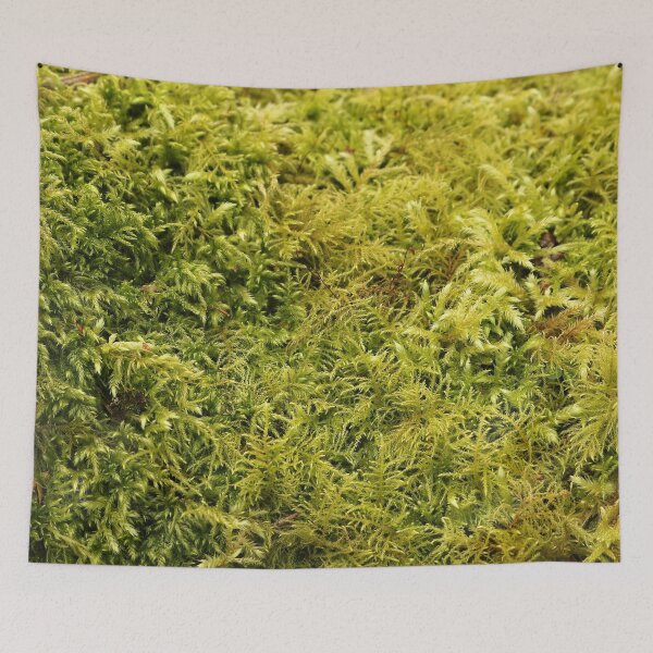Item preview, Green Moss Texture designed and sold by pinkal.