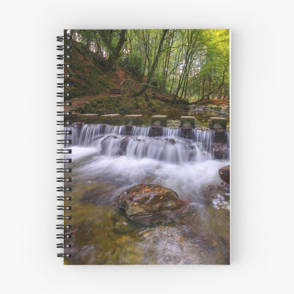 Item preview, Tollymore Forest Park  County Down  Northern Ireland designed and sold by Zdrojewski.