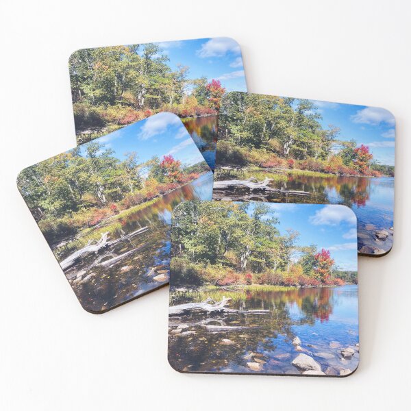 Item preview, Sun Fish Pond designed and sold by Charlotte Fare.