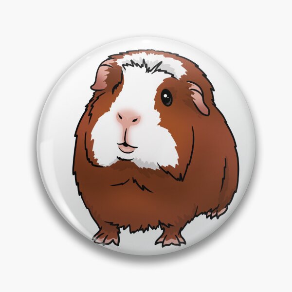 Item preview, Red with White Face Crested Guinea Pig designed and sold by KatsGuineapigs.