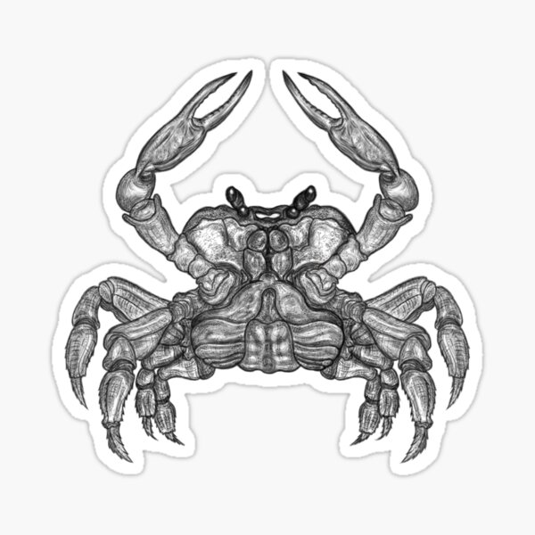 Crab Sketch Sticker