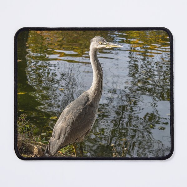 Item preview, Grey Heron designed and sold by grumpykeith.