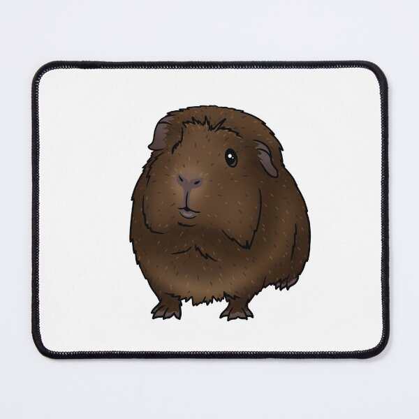 Item preview, Brown Agouti Crested Guinea Pig designed and sold by KatsGuineapigs.