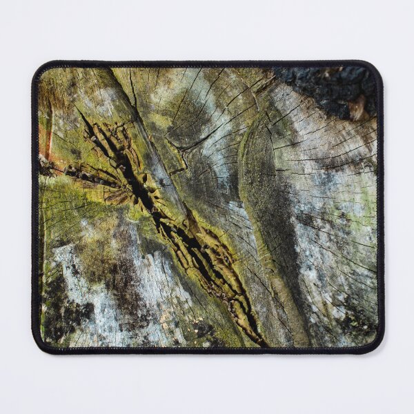 Item preview, Rotten Cross Section designed and sold by Arc1.