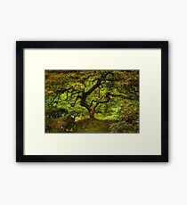 Serenity Framed Print