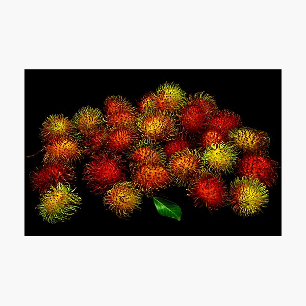 Rambutan Photographic Print