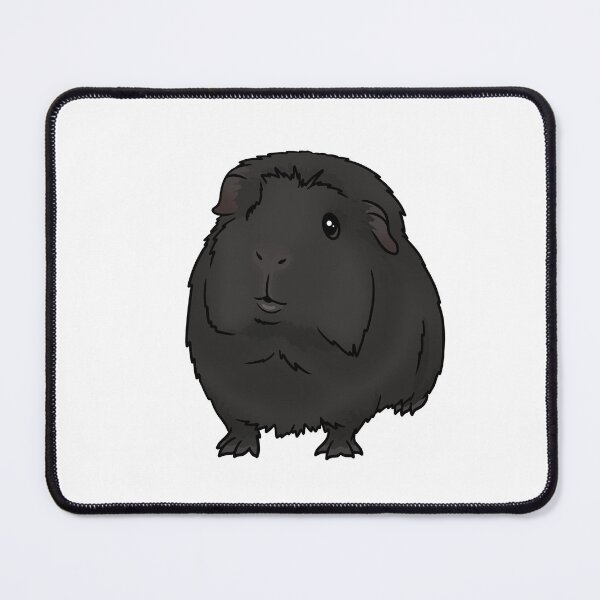 Item preview, Black Crested Guinea Pig designed and sold by KatsGuineapigs.