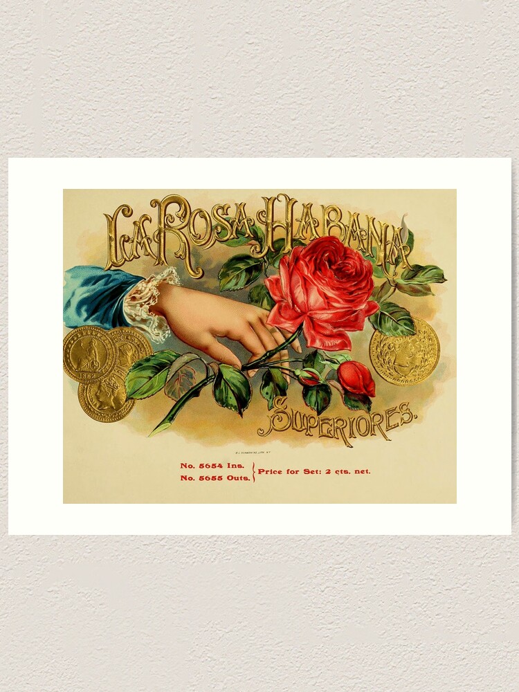 Cigar label, vintage antique from 1800s, Habana Rose Art Print for Sale by Jillyanne  Downs