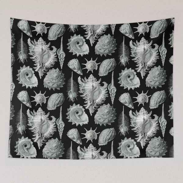 Item preview, Prosobranchia from Artforms of Nature (1904) by Ernst Haeckel designed and sold by Shapes-Mania.