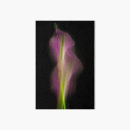 Abstract Purple Calla Lily on Black Background Art Board Print