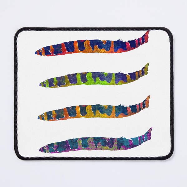 Item preview, Rainbow Kuhli Loach Gang designed and sold by ginaisarty.