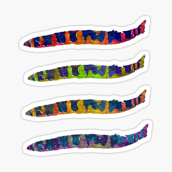Rainbow Kuhli Loach Gang Sticker