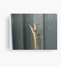 unexpected guest Canvas Print