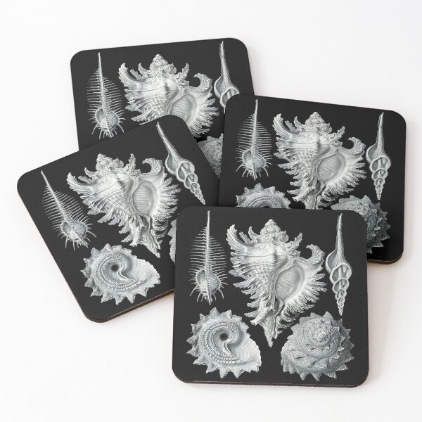 Item preview, Prosobranchia from Artforms of Nature (1904) by Ernst Haeckel designed and sold by Shapes-Mania.